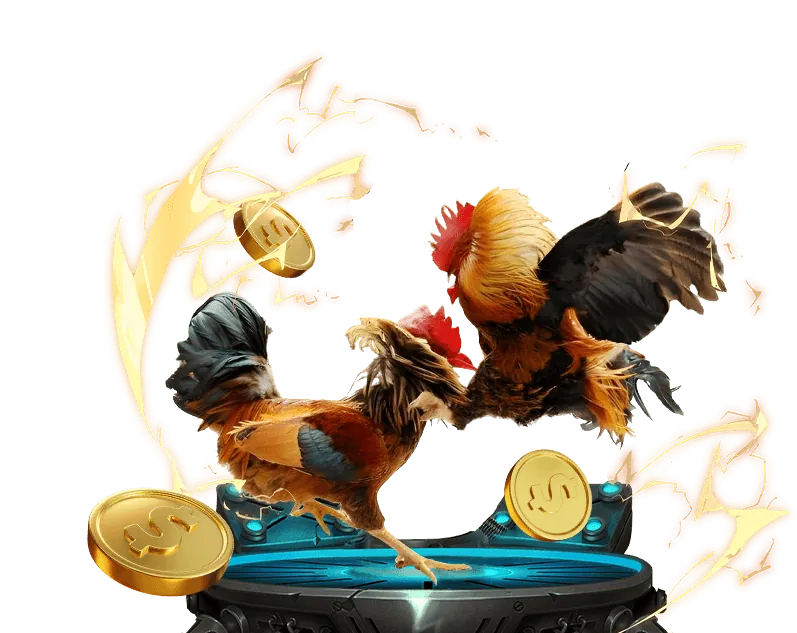 Những sai lầm cần tránh khi chọn nhà cái